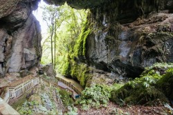 {description:attr_safe:trim}