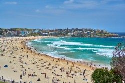 {description:attr_safe:trim}