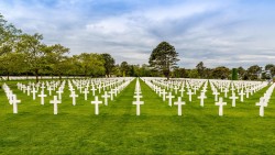 {description:attr_safe:trim}