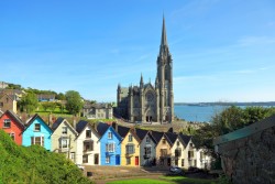 {description:attr_safe:trim}