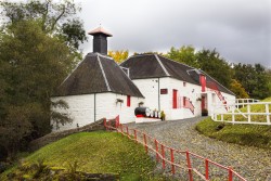 {description:attr_safe:trim}