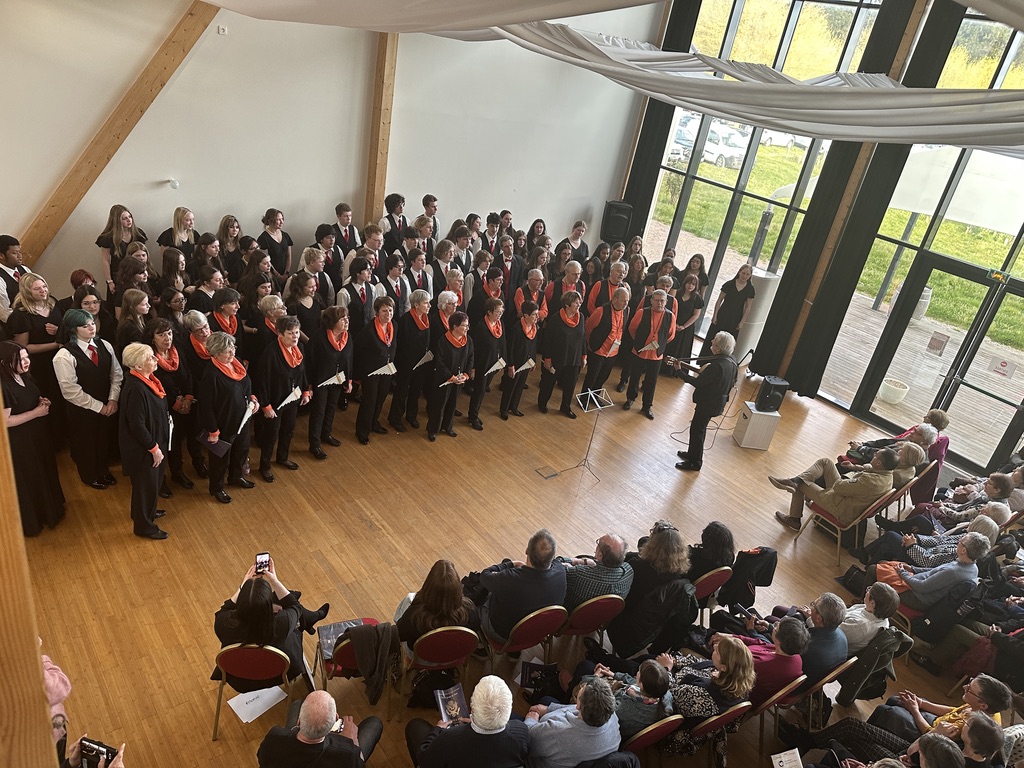 {description:attr_safe:trim}